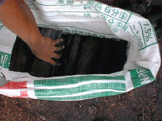 壬椿實業有限公司-undefined