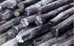 壬椿實業有限公司-undefined