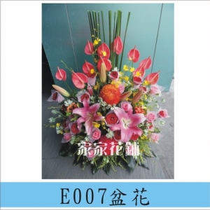 家家花舖-undefined