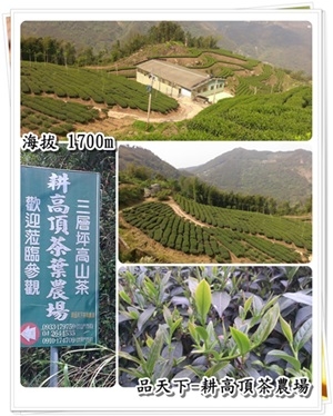 璽品茗茶-undefined