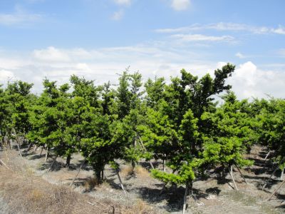 彩旺企業社-undefined