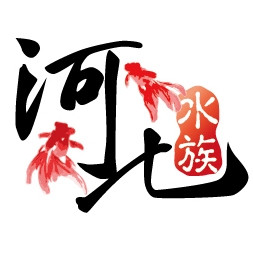 河北水族-undefined