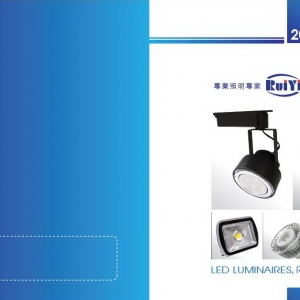 瑞儀科技照明-undefined