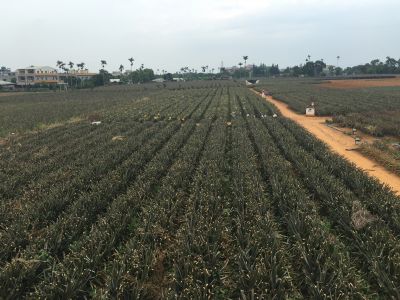 三合美食品股份有限公司-undefined