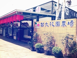 台大花園農場-undefined