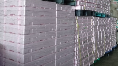 大隆保利龍股份有限公司-undefined