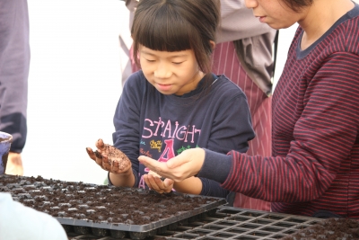 宜蘭縣行健有機農產生產合作社-undefined