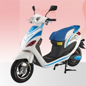 基業電行車業(可愛馬電行車)-undefined