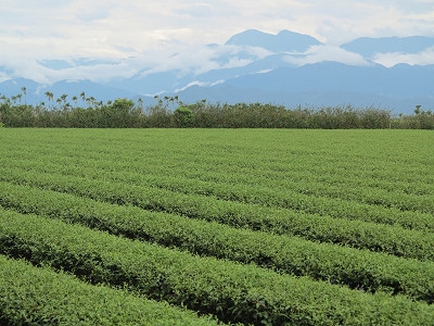 尚蓁食品行-undefined