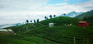 坤正製茶所-undefined