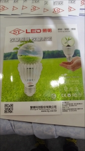 聲億科技股份有限公司-undefined