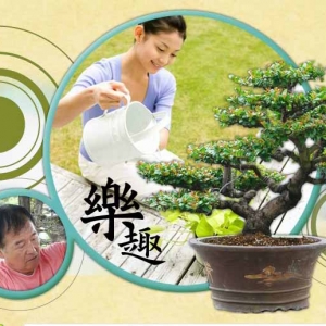 悅盛樹藝-undefined