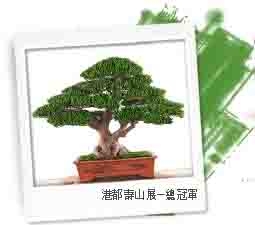 悅盛樹藝-undefined