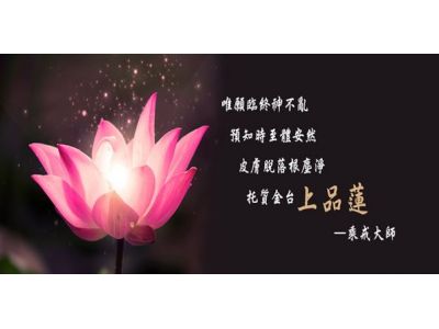 上品蓮佛教禮儀有限公司-undefined