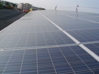 大衛綠色科技股份有限公司-undefined