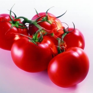 蕃茄廣告-undefined