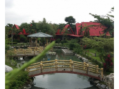 大方花園小木屋民宿-undefined