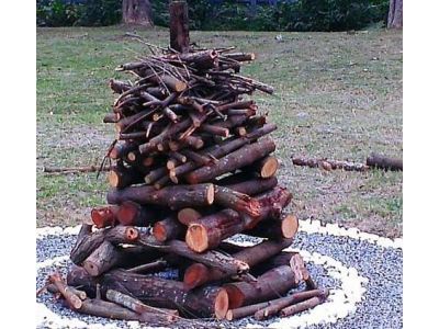 賽嘉休閒育樂有限公司-undefined