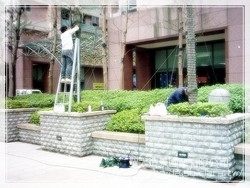 聖大造景園藝有限公司-undefined