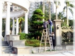 聖大造景園藝有限公司-undefined