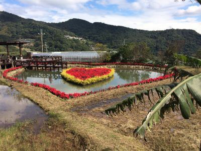 穠舍田園小吃店-undefined