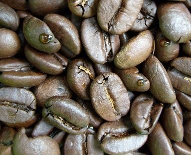 趙德旺咖啡工房(台灣蜜糖烘焙咖啡)-undefined