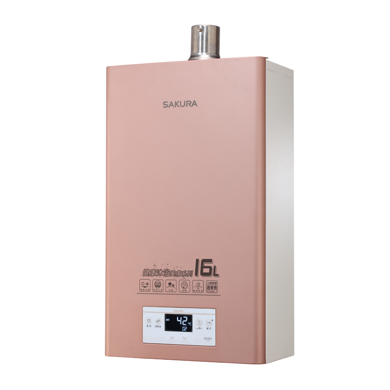 美膚沐浴熱水器DH1683