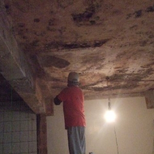 顏色專業油漆-undefined