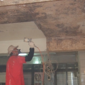 顏色專業油漆-undefined