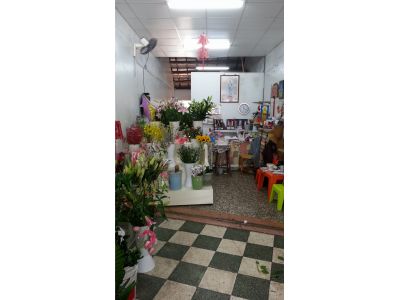 安歌蘭花坊-undefined