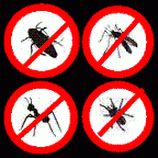 金鑫除蟲有限公司-undefined