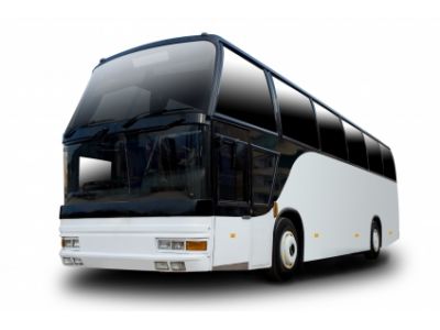 新生交通有限公司-undefined