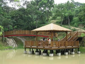 威盛木業有限公司-undefined