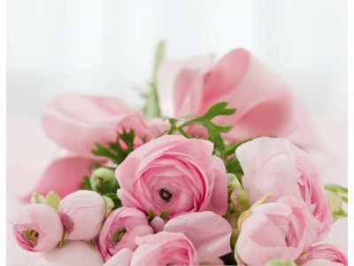 青青花店-undefined