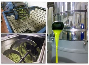 澳莉米雅 可詮股份有限公司-undefined