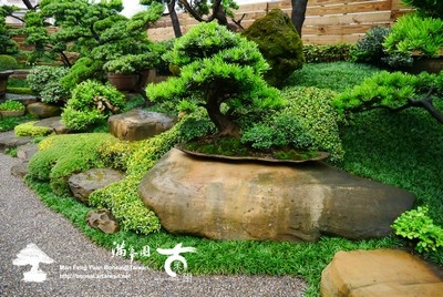 滿峯園庭木有限公司(滿峯園古美樹)-undefined