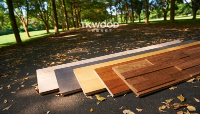 台光柚木有限公司-undefined