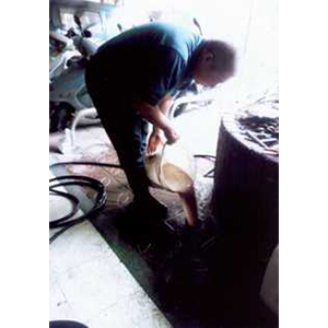 防臭生物藥劑處理