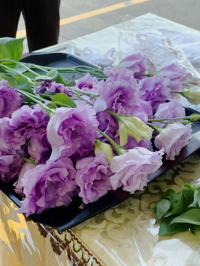 欣和平禮儀社-undefined