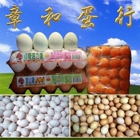 章和蛋行-undefined