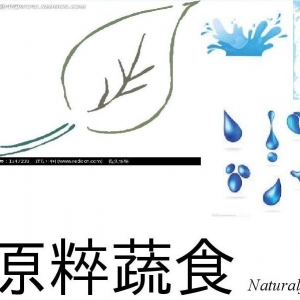 原粹蔬食-undefined