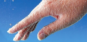 翔柏有限公司-undefined