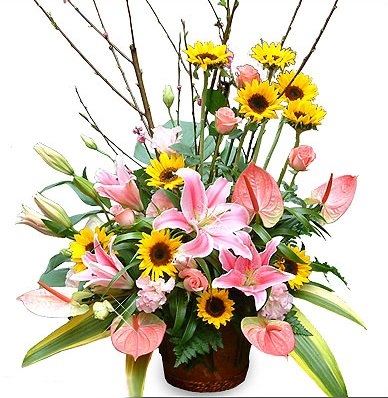 欣巧花藝氣球創意館-undefined