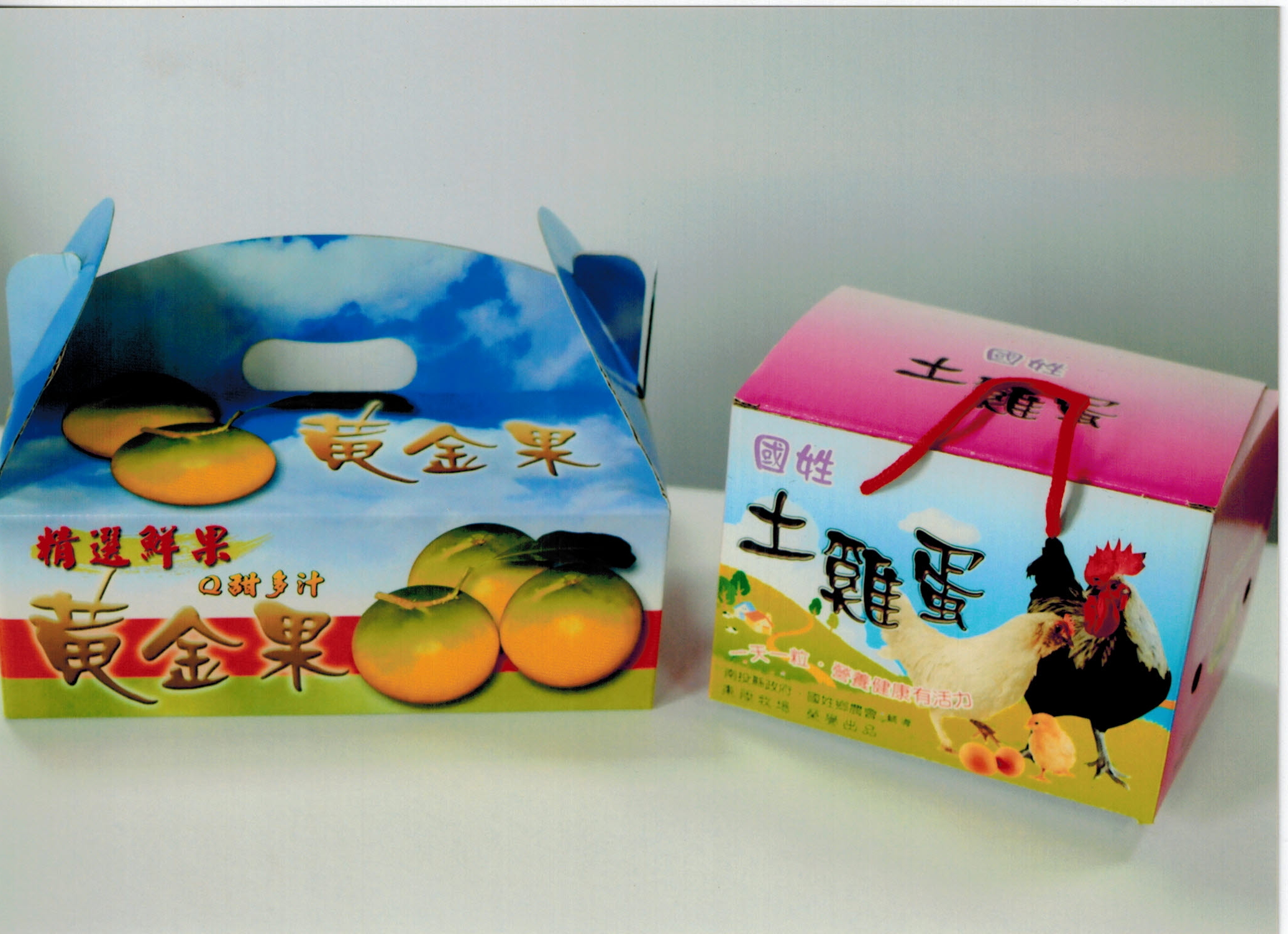 雞蛋手提盒