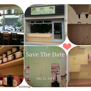 夢想貓咖啡 Dream Cats Cafe-undefined