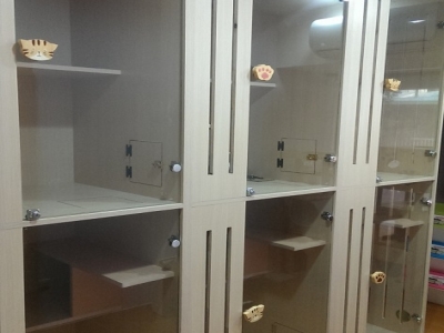 夢想貓咖啡 Dream Cats Cafe-undefined