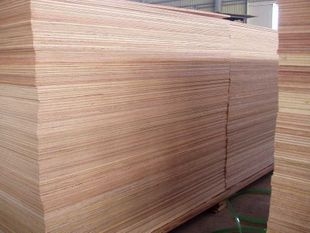 竩倡有限公司-undefined