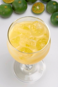 有鴻生物科技股份有限公司-undefined