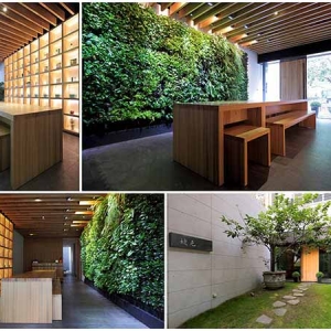 婕克國際股份有限公司 - NiceDoctor-undefined