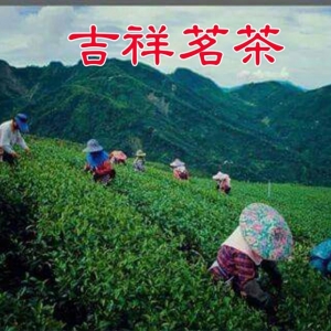 吉祥茗茶-undefined